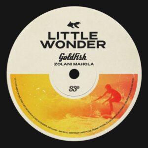 Goldfish & Zolani Mahola — Little Wonder